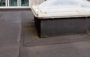 disadvantages of West Marsh flat roofs