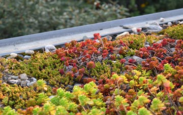 the cost of West Marsh green roof installation