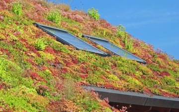 West Marsh living roof systems
