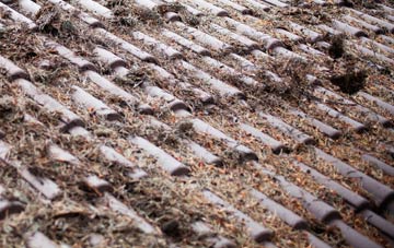 West Marsh roof cleaning companies