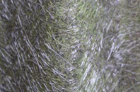 West Marsh fibreglass roof work